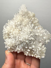 Load image into Gallery viewer, High-Grade Chrysanthemum Quartz with Botryoidal Radial Terminated Quartz Sprays | Jiangxi, China
