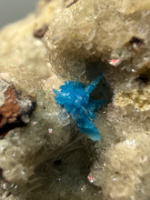 Load image into Gallery viewer, Rare Electric Blue Pentagonite on Druzy Matrix – Collector Mineral Specimen | India
