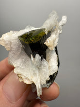 Load image into Gallery viewer, Green Cap Dark Green Stak Nala Tourmaline on Cleavelandite on Matrix – Haramosh Mountains, Pakistan
