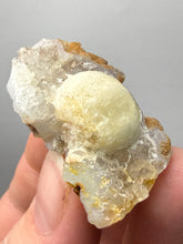 Load image into Gallery viewer, Rare Botryoidal Yellow Fluorite on Quartz Matrix  Collector Mineral Specimen – Maharashtra, India
