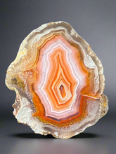 Load image into Gallery viewer, High-Grade Parallax Banded Laguna Agate – Bright Orange, Red, &amp; White Banding from Mexico
