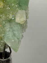 Load image into Gallery viewer, Luminous Mint Apophyllite with Glittering Druzy Sugar Quartz – India
