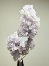 Load image into Gallery viewer, Indonesian Grape Agate (Botryoidal Purple Chalcedony) Display Specimen | Mamuju, West Sulawesi, Indonesia
