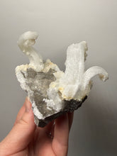 Load image into Gallery viewer, RARE COMBO Moroccan Ram’s Horn Selenite (Gypsum) with Yellow Botryoidal Fluorite Display Specimen
