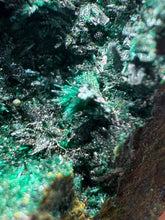 Load image into Gallery viewer, Brochantite Collector Mineral Specimen – Vivid Green Copper Crystals from Morocco
