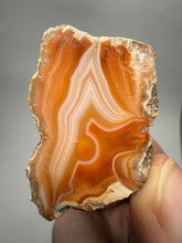 Load image into Gallery viewer, High-Grade Indonesian Sumatra Agate Pair – Vibrant Banded Chalcedony with Rich Color Zoning | Ethical Lapidary &amp; Collector Display Specimens
