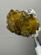 Load image into Gallery viewer, Vibrant Yellow Barite | Collector Display Specimen | Taourirt Mine, Morocco
