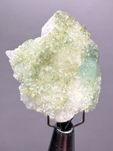 Load image into Gallery viewer, Luminous Mint Apophyllite with Glittering Druzy Sugar Quartz – India
