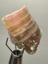 Load image into Gallery viewer, Raw Bi-Color Tourmaline Crystal Specimen | Ocean View Mine, Pala, California, USA
