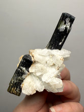 Load image into Gallery viewer, Blue Cap Dark Green Stak Nala Tourmaline on Cleavelandite Matrix – Haramosh Mountains, Pakistan
