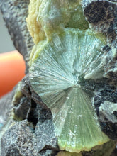 Load image into Gallery viewer, High-Grade Green Wavellite Collectors Specimen - Radiating Botryoidal Crystal Formation - Arkansas, USA
