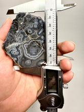 Load image into Gallery viewer, Mystical Turkish Stick &amp; Eye Agate with Intriguing Inclusions – Great Banding and Eyes
