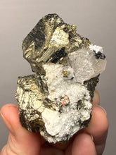 Load image into Gallery viewer, New Find: Huanzala Mine Peru Sphalerite + Chalcopyrite + Apatite + Calcite + Quartz | Collector Display Specimen
