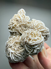 Load image into Gallery viewer, Desert Rose Selenite (Gypsum) — Mineral Display Specimen | Mexico
