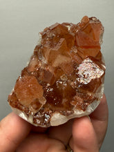Load image into Gallery viewer, Rare Red Apophyllite + Druzy Red Stilbite Flowers — Deccan Traps, India
