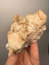 Load image into Gallery viewer, High-Grade Apophyllite on Pink Stilbite Zeolite | Indian Collector Mineral Specimen

