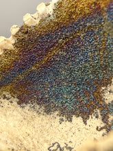 Load image into Gallery viewer, Bivalve (Pelecypoda) Fossil Sea Shell with Chalcopyrite | Mineralized Fossil Specimen | Indonesia

