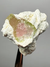Load image into Gallery viewer, Watermelon Tourmaline on Matrix – Collector Mineral Specimen from Pakistan
