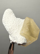 Load image into Gallery viewer, Rare Druzy Golden “Diamond” Calcite on Zeolite Matrix — Maharashtra, India | Collector Cabinet Specimen
