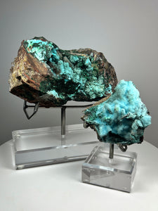 Chrysocolla Druzy Botryoidal Stalactites Pseudomorph after Malachite on Matrix from Congo • Fine Mineral Collector’s Showpiece