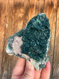 Gemmy Green Heulandite • Maharashtra, India