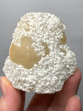 Load image into Gallery viewer, Rare Botryoidal Yellow Fluorite on Quartz Matrix  Collector Mineral Specimen – Maharashtra, India
