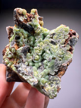 Load image into Gallery viewer, High-Grade Green Wavellite Collectors Specimen - Radiating Botryoidal Crystal Formation - Arkansas, USA
