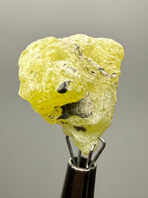 Load image into Gallery viewer, Vibrant Yellow Brucite Thumbnail Mineral Specimen | Collector Crystal from Killa Saifullah District in Balochistan Province, Pakistan

