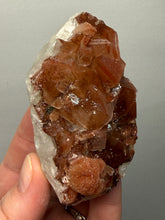 Load image into Gallery viewer, Rare Red Apophyllite + Druzy Red Stilbite Flowers — Deccan Traps, India
