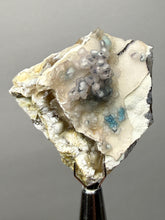 Load image into Gallery viewer, Blue-Green Chrysocolla in Botryoidal Chalcedony Cabinet Specimen | Indonesia
