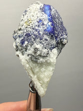 Load image into Gallery viewer, Afghanite &amp; Lazurite on Matrix Collector Display Specimen | Badakhshan Region, Afghanistan
