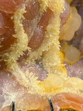 Load image into Gallery viewer, “Goblin Chalcedony” Pink &amp; Orange Druzy Botryoidal Stalactites— Tichka Massif, High Atlas, Morocco
