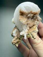 Load image into Gallery viewer, Moroccan Ram’s Horn Selenite (Gypsum) Crystal Display Specimen
