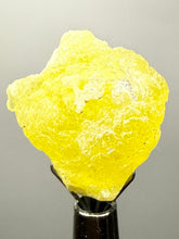 Load image into Gallery viewer, Vibrant Yellow Brucite Thumbnail Mineral Specimen | Collector Crystal from Killa Saifullah District in Balochistan Province, Pakistan
