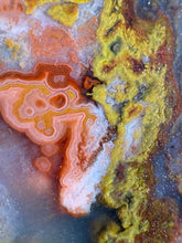 Load image into Gallery viewer, Pink Yellow Red Moroccan Agate | High Atlas Mountains •UNPOLISHED LAPIDARY  SLAB
