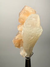 Load image into Gallery viewer, High-Grade Apophyllite on Pink Stilbite Zeolite | Indian Collector Mineral Specimen
