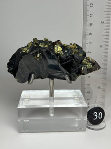 Cubic Galena, Sphalerite-Marmatite & Octahedral Golden Chalcopyrite from Bulgaria • Rare High Grade • Mineral Collector’s Specimen Showpiece