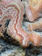 Load image into Gallery viewer, Rhodochrosite Free Form Collector Mineral Display Specimen — Argentina
