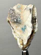 Load image into Gallery viewer, Blue-Green Chrysocolla in Botryoidal Chalcedony Cabinet Specimen | Indonesia
