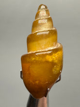 Load image into Gallery viewer, Agatized Gastropod Fossil Specimen | Morocco
