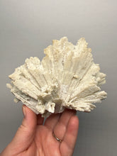 Load image into Gallery viewer, Rare Natural Anhydrite Collector Mineral Specimen | Brazil
