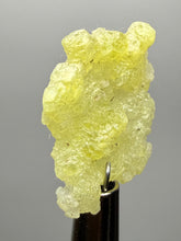 Load image into Gallery viewer, Vibrant Yellow Brucite Thumbnail Mineral Specimen | Collector Crystal from Killa Saifullah District in Balochistan Province, Pakistan
