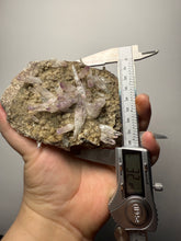 Load image into Gallery viewer, High-Grade Vera Cruz Amethyst — Ultra-Clear Terminated Crystal Collector Specimen | Veracruz, Mexico
