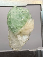 Load image into Gallery viewer, Green Radial “Disco Ball” Apophyllite | Maharashtra, India
