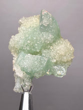 Load image into Gallery viewer, Luminous Mint Apophyllite with Glittering Druzy Sugar Quartz – India
