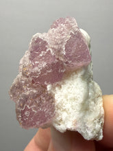 Load image into Gallery viewer, Botryoidal Lavender Fluorite on Quartz Matrix | Hunan, China | Collector Mineral Display Specimen
