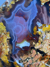 Load image into Gallery viewer, MUSEUM Turkish Agate with Intriguing Inclusions – Great Sticks, Banding and Eyes - Turkey

