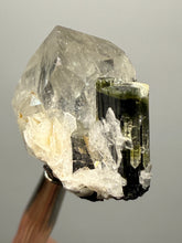Load image into Gallery viewer, Dark Green Cap Stak Nala Tourmaline and Cleavelandite on Quartz – Haramosh Mountains, Pakistan | Thumbnail Specimen
