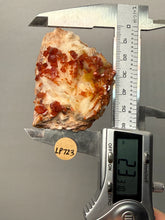 Load image into Gallery viewer, Natural Vanadinite on Matrix | Collector Mineral Specimen | Morocco
