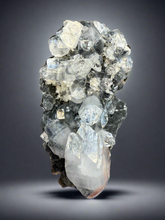 Load image into Gallery viewer, Clear Gem Apophyllite Cluster on black matrix • Maharashtra, India
